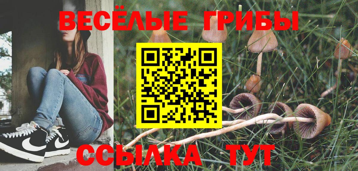 Галлюциногенные грибы GOLDEN TEACHER Сосновоборск